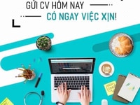 Cần Gấp 5 bạn phụ bán hàng tại chi nhánh Quận 12 Cần Gấp 5 bạn phụ bán hàng tại chi nhánh Quận 12