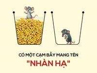Chứng chỉ Hành nghề Bất động sản Chứng chỉ Hành nghề Bất động sản