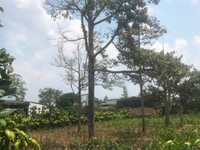 Khu nghỉ dưỡng diện tích 27x40m Phường Lộc Tiến TP Bảo Lộc Khu nghỉ dưỡng diện tích 27x40m Phường Lộc Tiến TP Bảo Lộc