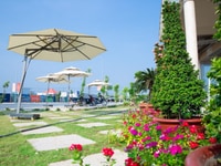 Đất vàng ngay trung tâm thanh phố chỉ với 699tr, 100M2 Đất vàng ngay trung tâm thanh phố chỉ với 699tr, 100M2