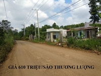Bán nhanh 4.8 sào đất ở ấp 3 Sông Trầu, giá đầu tư Bán nhanh 4.8 sào đất ở ấp 3 Sông Trầu, giá đầu tư