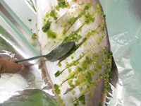 Cá bò da Nha Trang, hải sản cấp đông Cá bò da Nha Trang, hải sản cấp đông