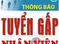 Công ty cần gấp nhân viên làm việc tại văn phòng Công ty cần gấp nhân viên làm việc tại văn phòng