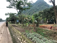 Nhượng lại 42m mặt tiền bám đường HCM giá rẻ tại Lương Sơn Hòa Bình. Nhượng lại 42m mặt tiền bám đường HCM giá rẻ tại Lương Sơn Hòa Bình.