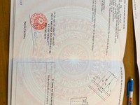 Bán gấp lô đất đường suối lội tân thông hội củ chi DT 100m Giá 1ty550