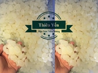 Hạt đát tươi - không tẩy - hạt to bằng ngón tay cái Hạt đát tươi - không tẩy - hạt to bằng ngón tay cái