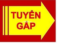 Cần gấp 02 nhân viên làm việc tại siêu thị Mini Cần gấp 02 nhân viên làm việc tại siêu thị Mini