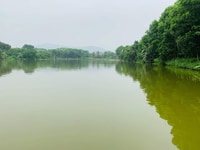 Bán gấp 8000m2 đất bám mặt hồ lớn, tại Hòa Sơn, Lương Sơn, Hòa Bình. Bán gấp 8000m2 đất bám mặt hồ lớn, tại Hòa Sơn, Lương Sơn, Hòa Bình.