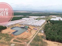 Đất bình thuận chỉ có 65 ngàn/m2 có ngay sổ đỏ,khu du lịch nông nghiệp Đất bình thuận chỉ có 65 ngàn/m2 có ngay sổ đỏ,khu du lịch nông nghiệp