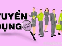 Tuyển nhân viên hỗ trợ bán hàng Tuyển nhân viên hỗ trợ bán hàng