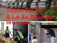Tuyển 15 tài xế B2 , C và 30 phụ lơ xe 30 Nam Phụ Kho Xếp Hàng Tuyển 15 tài xế B2 , C và 30 phụ lơ xe 30 Nam Phụ Kho Xếp Hàng