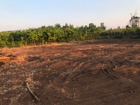 Đất vườn 5157m2 ngã ba Sông Thao cách quốc lộ 1a 1km Đất vườn 5157m2 ngã ba Sông Thao cách quốc lộ 1a 1km