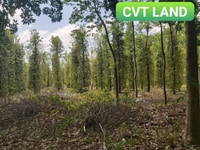 Bán đất có nhà ở xã tân tiến đồng phú bình phước Bán đất có nhà ở xã tân tiến đồng phú bình phước