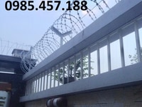 Dây thép gai hình dao, dây thép gai mạ kẽm ông vua chống trộm Dây thép gai hình dao, dây thép gai mạ kẽm ông vua chống trộm