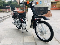 Honda Cub 50cc màu xanh tím 2019 đi 1000km Honda Cub 50cc màu xanh tím 2019 đi 1000km