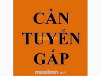 Cân tuyển dụng lao động phổ thông Cân tuyển dụng lao động phổ thông