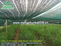 Cung cấp lưới che nắng nhập khẩu thái lan Cung cấp lưới che nắng nhập khẩu thái lan