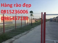 Nơi bán hàng rào phi 3, phi 4, phi 5, ô 50x50, 50x100, 75x200 Nơi bán hàng rào phi 3, phi 4, phi 5, ô 50x50, 50x100, 75x200
