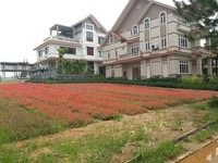 Cần bán gấp đất biệt thự đường Trịnh Hoài Đức - P11 – Tp – Đà Lạt. Cần bán gấp đất biệt thự đường Trịnh Hoài Đức - P11 – Tp – Đà Lạt.