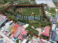 Biệt thự đẹp độc đẳng cấp cực hiếm trung tâm Đà Lạt Biệt thự đẹp độc đẳng cấp cực hiếm trung tâm Đà Lạt