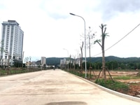 BIM Group mở bán 90 lô đất liền kề cạnh trường quốc tế Singapore BIM Group mở bán 90 lô đất liền kề cạnh trường quốc tế Singapore