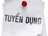Cần Nam Nữ không cần kinh nghiệm ngoại hình tuyển trực tiếp Cần Nam Nữ không cần kinh nghiệm ngoại hình tuyển trực tiếp