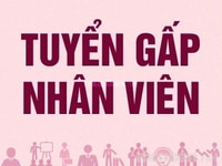 Do khai trương chi nhánh mới cần tuyển nhân viên bán hàng. Do khai trương chi nhánh mới cần tuyển nhân viên bán hàng.