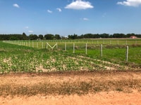 Bán lô đất MT 690, Thái Mỹ, Củ Chi: 24 x 91= 2.183m2, giá: 1,7tỷ. Bán lô đất MT 690, Thái Mỹ, Củ Chi: 24 x 91= 2.183m2, giá: 1,7tỷ.