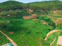 Đất Vườn Mê Linh Cafe View Suối Gần Đà Lạt Giá Mềm Đất Vườn Mê Linh Cafe View Suối Gần Đà Lạt Giá Mềm