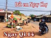 💫💫 Mùa này #NÊN_ĐẦU_TƯ_GÌ ??? 💫💫 💫💫 Mùa này #NÊN_ĐẦU_TƯ_GÌ ??? 💫💫