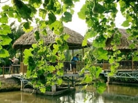 Đất sinh thái nghĩ dưỡng sài gòn Farm garden tại củ chi Đất sinh thái nghĩ dưỡng sài gòn Farm garden tại củ chi