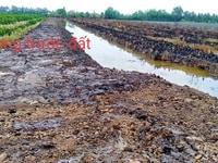 Cần bán gấp Đất vườn, Ấp 4, xã Thạnh Lợi, Bến Lức, Long An Cần bán gấp Đất vườn, Ấp 4, xã Thạnh Lợi, Bến Lức, Long An