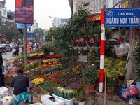 Bán Nhà Hoàng Hoa Thám: 51m2, 5t, Mt 5.5m Chân Dài - Mặt Phố - Lô Góc Bán Nhà Hoàng Hoa Thám: 51m2, 5t, Mt 5.5m Chân Dài - Mặt Phố - Lô Góc