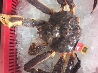 Cua King crab ngộp ngon trong ngày Cua King crab ngộp ngon trong ngày