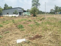 Cần bán miếng đất trả nợ ngân hàng 1000m ,quy đức bình chánh 1.3 tỷ Cần bán miếng đất trả nợ ngân hàng 1000m ,quy đức bình chánh 1.3 tỷ