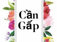 Bên anh cần bổ sung các vị trí bán hàng tại quận 4 Bên anh cần bổ sung các vị trí bán hàng tại quận 4