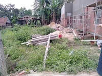 Đất chính chủ,3xx triệu,sát tam kỳ,thiện chí liên hệ xem đất Đất chính chủ,3xx triệu,sát tam kỳ,thiện chí liên hệ xem đất