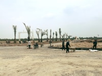 Đất nền, Nhà phố, KĐT Ecity Tân Đức, Trung tâm TT Đức Hòa Đất nền, Nhà phố, KĐT Ecity Tân Đức, Trung tâm TT Đức Hòa