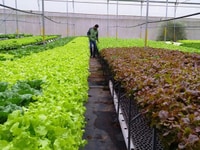 Cần tuyển nam nữ lđpt sản xuất bao ăn ở làm lâu dài Cần tuyển nam nữ lđpt sản xuất bao ăn ở làm lâu dài