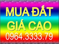 Cần mua đất mỹ phước, bình dương giá cao Cần mua đất mỹ phước, bình dương giá cao