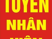 Vũng Tàu. Tuyển dụng gấp tài xế xe tải+ phu xe, phu kho Vũng Tàu. Tuyển dụng gấp tài xế xe tải+ phu xe, phu kho
