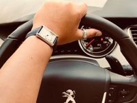 #GreenWorldCar - Dịch vụ Thuê xe CHUYÊN NGHIỆP