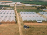 Bán 10.000m2 đất Huyện Bắc Bình Bình Thuận giá chỉ 65 ngày/m2 bao sổ. Bán 10.000m2 đất Huyện Bắc Bình Bình Thuận giá chỉ 65 ngày/m2 bao sổ.