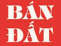 Bán Lô Đất Đẹp Sổ Riêng Ở Ấp Thanh Hóa, Hố Nai 3 , Trảng Bom Đồng Nai Bán Lô Đất Đẹp Sổ Riêng Ở Ấp Thanh Hóa, Hố Nai 3 , Trảng Bom Đồng Nai