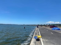 Ra Mắt Siêu Phẩm đất Nền View đầm Thuỷ Triều Chỉ Từ 800 Triệu/nền Ra Mắt Siêu Phẩm đất Nền View đầm Thuỷ Triều Chỉ Từ 800 Triệu/nền