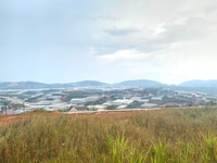 Cần bán gấp lô đất XD tại Cao Thắng, P7, Đà Lạt. View núi langbiang. Cần bán gấp lô đất XD tại Cao Thắng, P7, Đà Lạt. View núi langbiang.