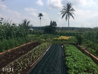 Bán 1 Sào Đất 2 Mặt Tiền Thuộc Hẻm 363 Phạm Văn Đồng Bán 1 Sào Đất 2 Mặt Tiền Thuộc Hẻm 363 Phạm Văn Đồng
