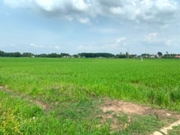 Chính chủ bán gấp lô đất rẻ nhất Phú Đông mặt tiền đường Chính chủ bán gấp lô đất rẻ nhất Phú Đông mặt tiền đường