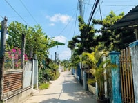 BÁN ĐẤT Diện tích: 8 x 34,5m Chưa Thổ cư BÁN ĐẤT Diện tích: 8 x 34,5m Chưa Thổ cư