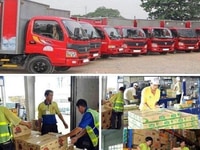 Tuyển Lái Xe Tải , Và NV Phụ Xe Giao Nhận Hàng Tại Nghệ An Tuyển Lái Xe Tải , Và NV Phụ Xe Giao Nhận Hàng Tại Nghệ An